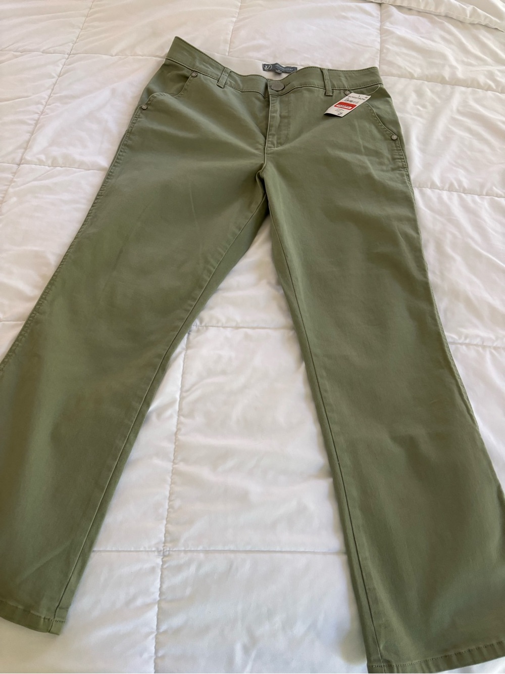 Nordstrom Rack Wit & Wisdom Pistachio Green Cropped Pants